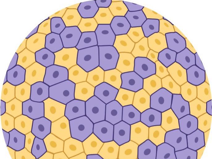 Vinod Reddy Lekkala – Researcher